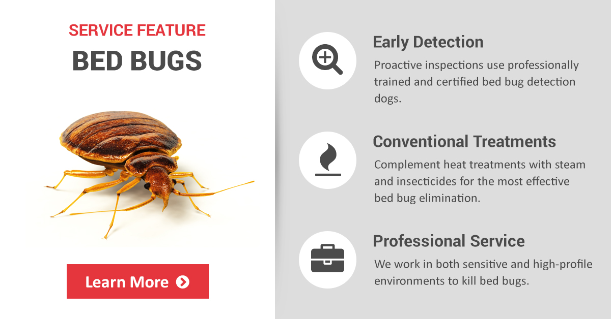 Bed Bug Exterminator LA King